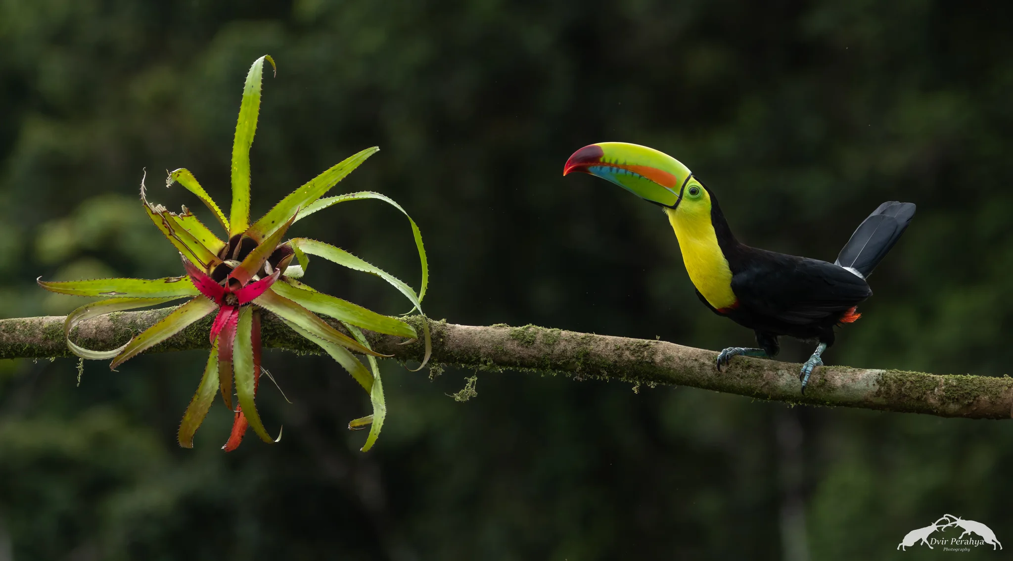 Tropical landscape, Costa Rica